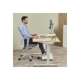 Fellowes