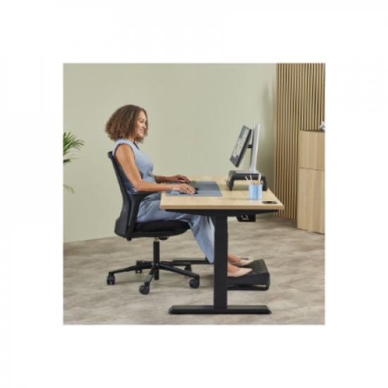 Fellowes