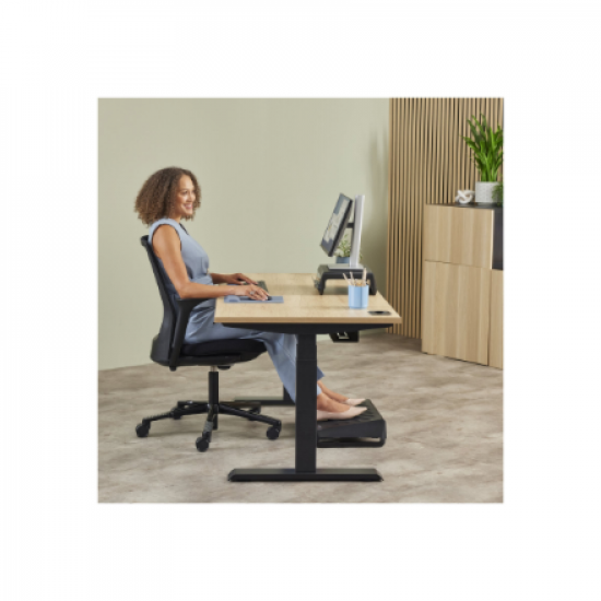 Fellowes
