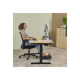Fellowes