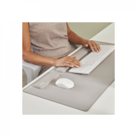 Fellowes