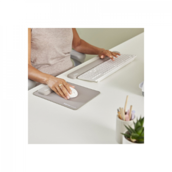 Fellowes