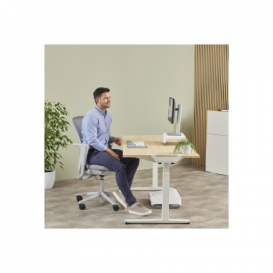 Fellowes
