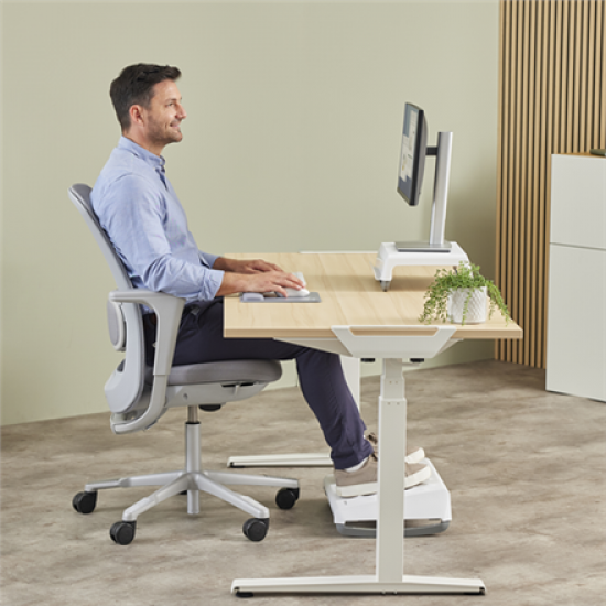 Fellowes