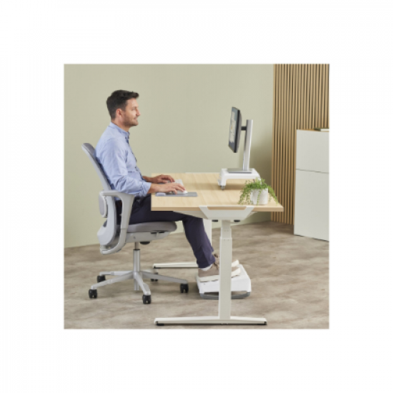 Fellowes