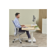 Fellowes