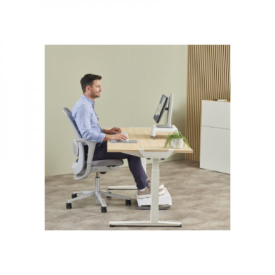Fellowes