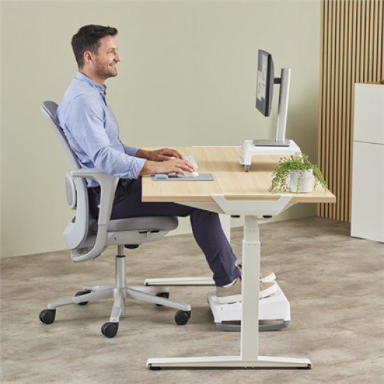 Fellowes