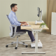 Fellowes