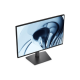 Dell LCD P2426 24