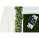 Barbecook Gas Barbecue Spring 2002, 111 x 55 x 115 cm | BC-GAS-2009