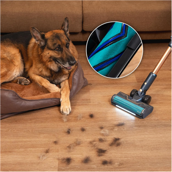 Cecotec Vacuum cleaner | Rockstar RX70 AquaPet Flex Conga | Cordless operating | Stick/handheld | 780 W | Operating time (max) 100 min | Blue/Gold