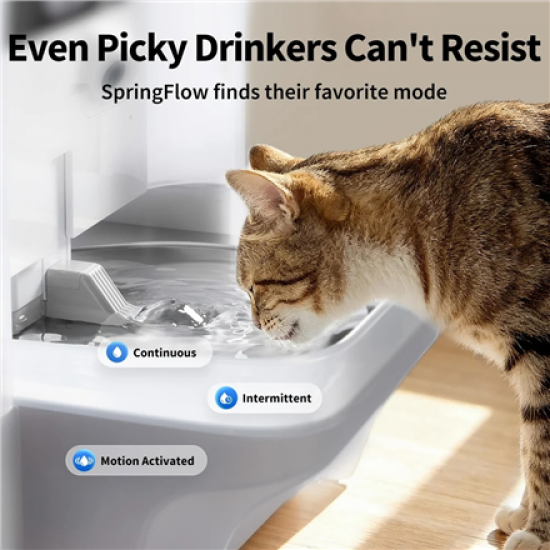 PETKIT Pet Water Fountain with Camera | EverSweet Ultra | Capacity 5 L | Material ABS, 304 Stainless Steel, PP, PPO | White