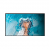 Hisense | Digital Signage Display | 32DM66D | 32 
