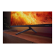 Philips | LED 4K Ambilight TV | 55PUS8001/12 | 55 | Smart TV | TITAN OS | UHD | Black