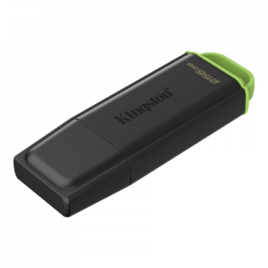 Kingston DataTraveler Exodia 256GB USB 3.2 Flash Drive