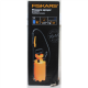 SALE OUT. | Fiskars Pressure Sprayer, 5 L | DAMAGED PACKAGING