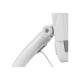Neomounts Floor stand | FL15-625WH1 | Tilt, Rotate | 7.9- 11 