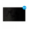 Natec | Privacy Filter Owl, 14