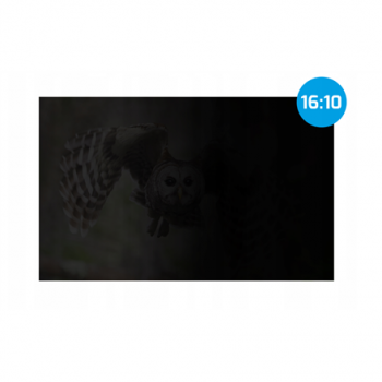 Natec | Privacy Filter Owl, 14