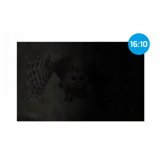 Natec | Privacy Filter Owl, 14