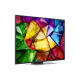 LG 55MRGB87B3B 55