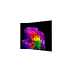 LG OLED83G61LW 83