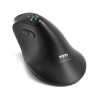 PORT CONNECT Mouse | ERGO AUDITOR | Wireless | Bluetooth, 2.4 GHz | Black