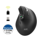 PORT CONNECT Mouse | ERGO AUDITOR | Wireless | Bluetooth, 2.4 GHz | Black