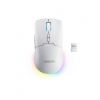 Lenovo Accessories Legion M220 Wireless RGB Gaming Mouse - Glacier White