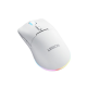 Lenovo Accessories Legion M220 Wireless RGB Gaming Mouse - Glacier White