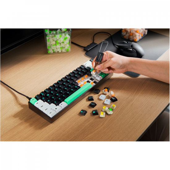 Razer | Reclusa X Mini 65% | Mechanical Gaming Keyboard | Wired | US | Razer Mechanical Switches Gen-3 (Tactile) | Black