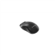 Gembird MUSW2-4B-01 Dual-mode 4-button wireless mouse, black | Gembird