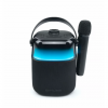 Muse M-520 KA Bluetooth Karaoke Microphone | Muse