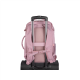 Natec Camel Lite | Fits up to size 15.6 