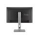 Asus PROART PA249CGV 23.8