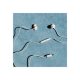 Sudio Earbuds | V3 | USB-C | In-ear | Microphone | Grey White