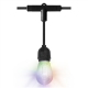 Osram SMART+ Outdoor String Light IP44 RGBW | 4.50 W | Warm White, RGB | Wi-Fi