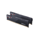 G.Skill Flare X5 DDR5-6000* CL30-38-38-96 1.35V 32GB (2x16GB)AMD EXPO